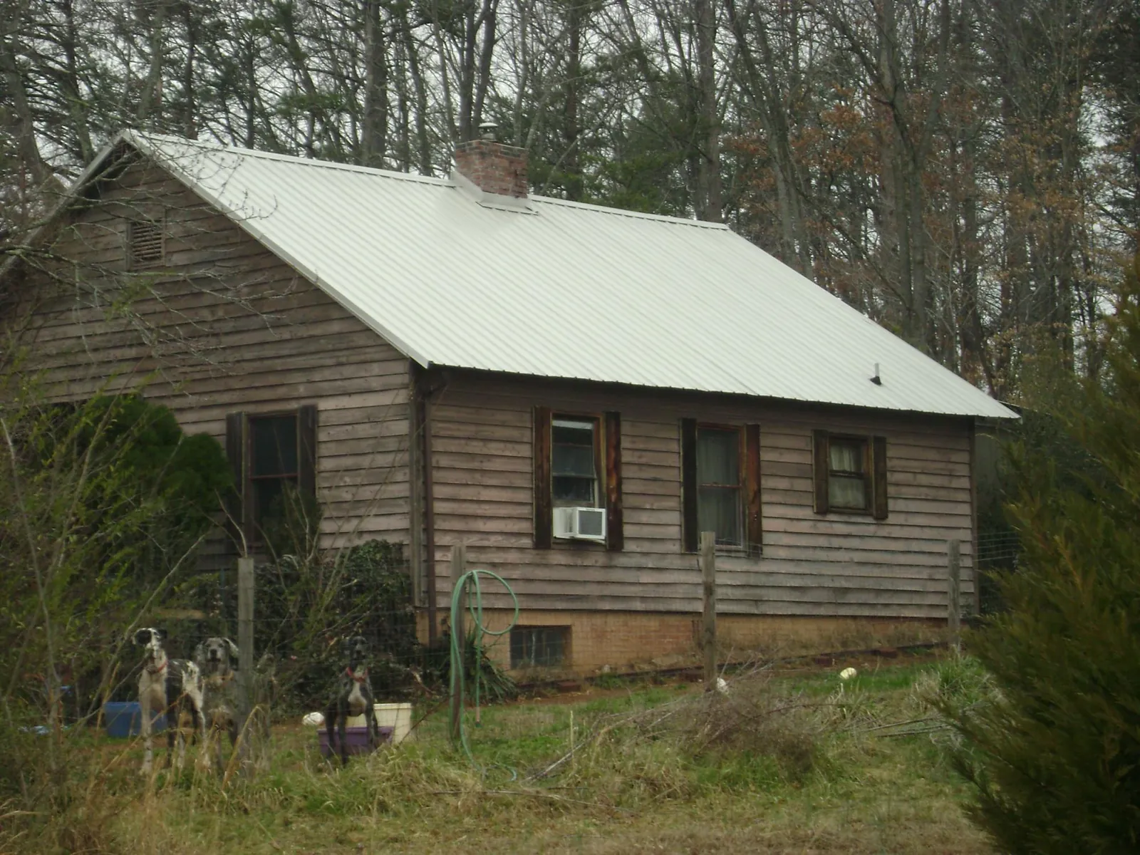 White metal roof on an old wood sided farmhouse, from a Metal Roof Installation job in Ace